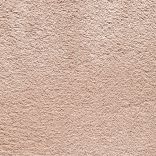 Wealthy Gathering carpet - 063